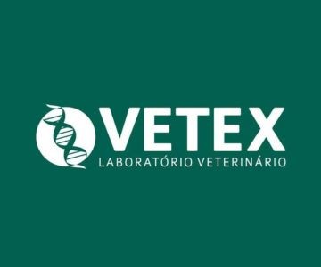 Equipe Vetex