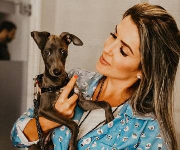 Aline Zilli